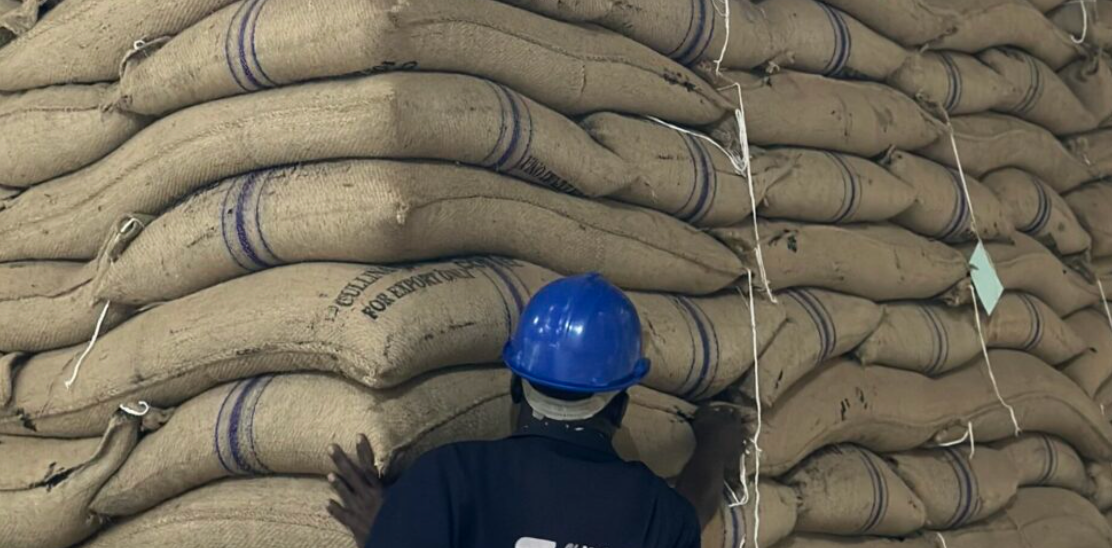 Coffee Producers & Exporters